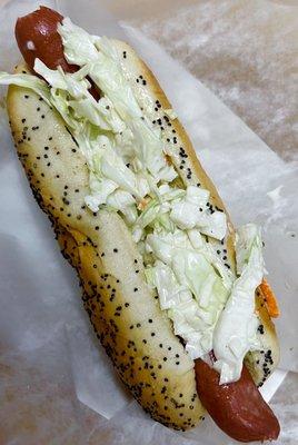 Slaw dog