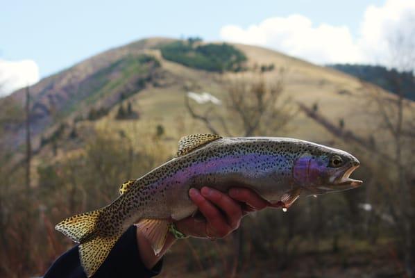 Downtown Missoula Fly Fishing