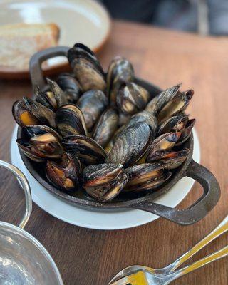 Mussels