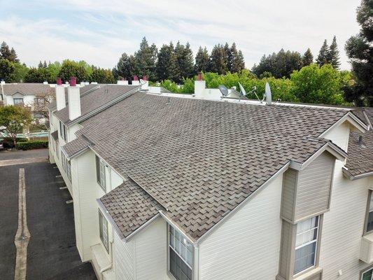 New Owens Corning Woodmoor shingles at a multi-family housing complex in Sunnyvale.  Color is Summerwood.