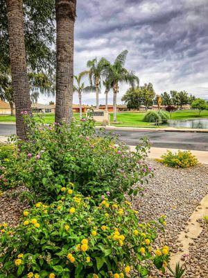 SVEGC view towards #1 tee.