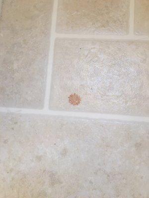 Blood on bathroom floor