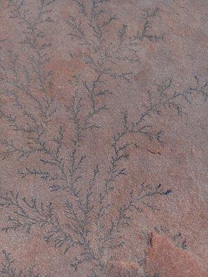 We found dendrite patterns on some of our Colorado red flagstone!