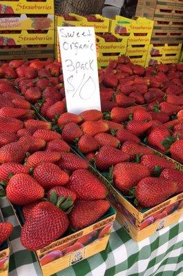 Organic Strawberries