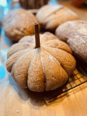 Pumpkin shaped artisan pumpkin sourdough loaves