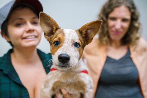 Puppy Class Part One