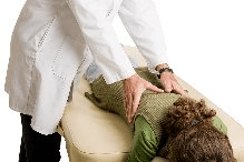 Spinal Adjustment