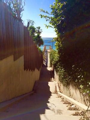 Stairs leading to view of the beach.