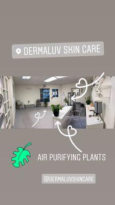 COVID-19 Awareness: Dermaluv Skin Care has to have air purifying plants and hepa filtered air purifiers in all of the high traffic areas.