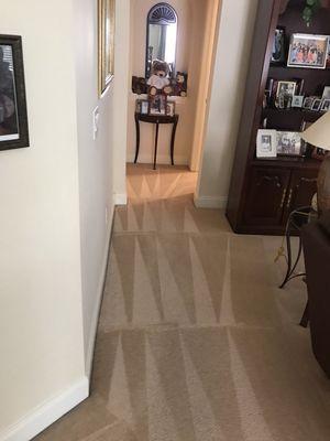 Carpet steam cleaning