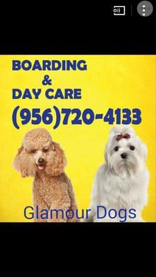 Glamour Dogs offers Daycare & Boarding call for more Information & reservations at 956-720-4133