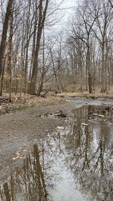 Sawmill Creek in the winter.