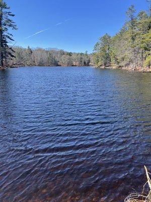 Upper pond early spring green-up