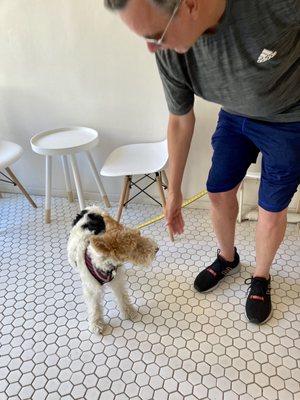 Employee gives dogs treats. 06/13/22