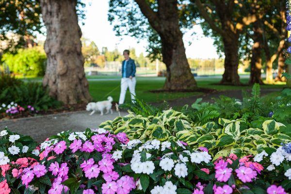 Beautiful walking paths