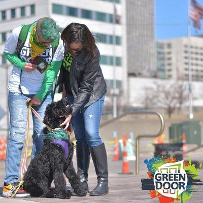 Green Door Alternative Cannabis Dispensary Detroit