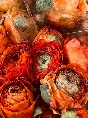 Ranunculus Bouquets  March 2023