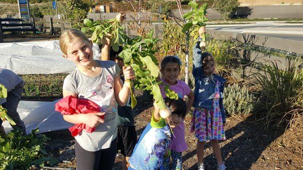 Esencia Farm- Farm to Kitchen Class