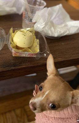 Romi eyes my coconut lime dessert