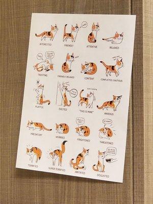 Cat chart, helpful and hilarious.