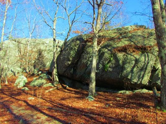 Some big rocks.