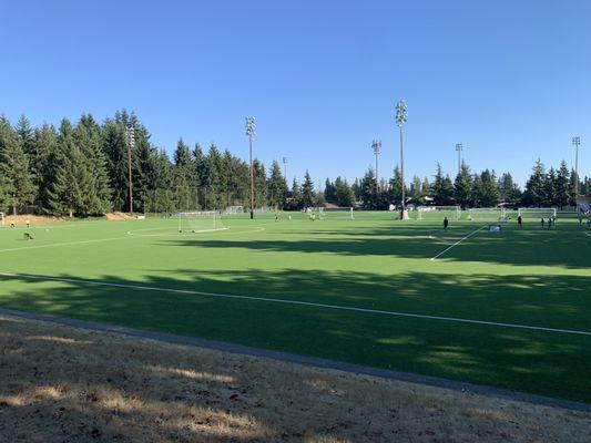 Soccer fields.