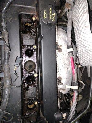 Oil leaking from valve cover gasket and on top of the ignition coils