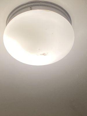 Debris in the light fixtures