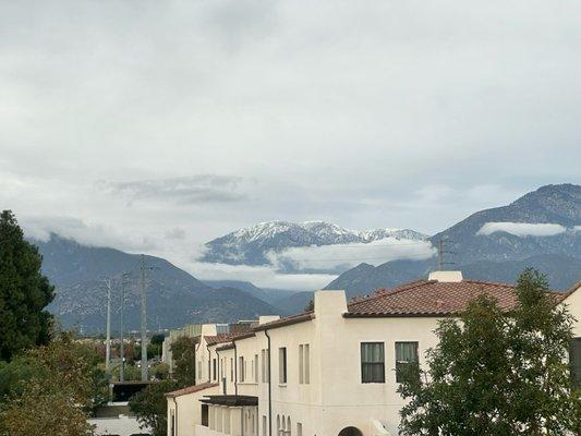 The view from my peaceful, lovely studio space in Montclair