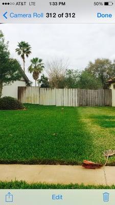 This is one of our lawns on the left. The one on the right does not have our service. Our technician Craig took this photo.