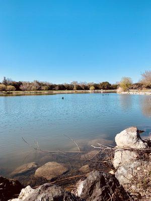 Hellyer Park 03.06.22