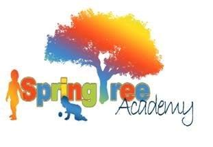 SpringTree Academy