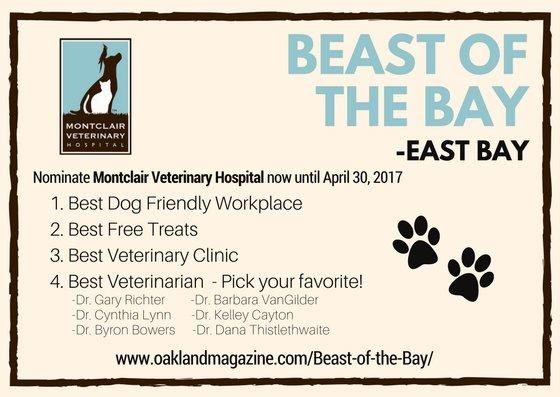 Nominate Montclair Veterinary Hospital for Best of the East Bay at www.oaklandmagazine.com/Beast-of-the-Bay/ #Vote #MVH