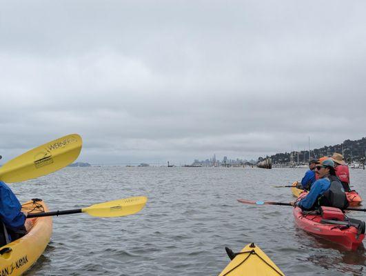 Sausalito Tour - on our way back to the dock, you get a nice view of downtown SF.