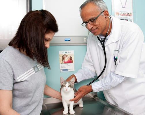 Dr Saini examining a patient.