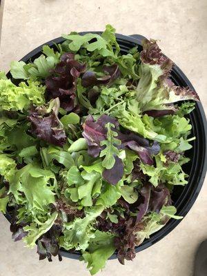 A bowlful of fresh greens, spring 2018