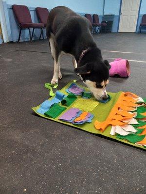 We now offer add-on enrichment for any daycare or boarding stay!