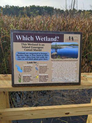 Look at how tall the cattails are behind the sign!