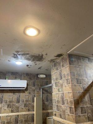 Mold on ceiling