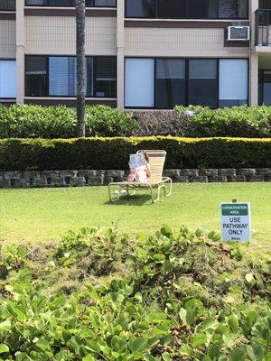 Lounges on the grass only. Makes for well maintained equipment.