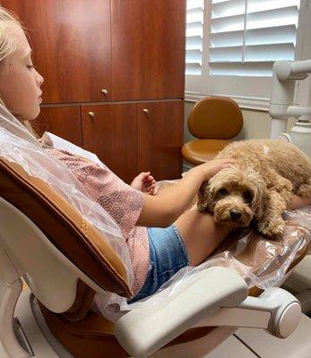 Nilla is Seeing New Patients at Lakefront Family Dentistry! Ask Us About Her When Scheduling Your Appointment! She'll See You Soon!