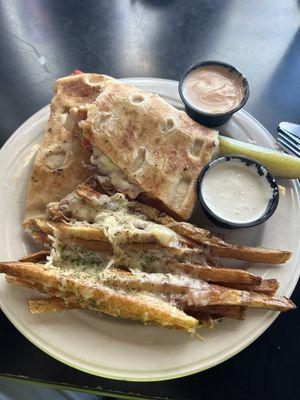 Chicken Panini with specialty fries (garlic parmesan? Can't remember)