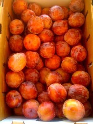 California grown pluots!!!