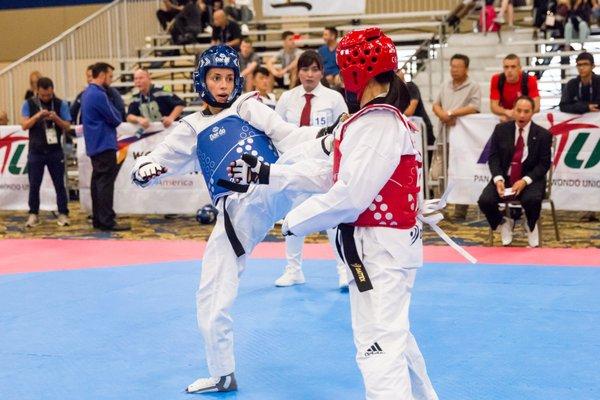 Erica vs Japan Team Member, World Taekwondo Pan-Am President's Cup, Oct 2017, Las Vegas, NV