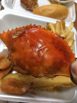 Seafood stuffed crab shell. Is this really a thing?!