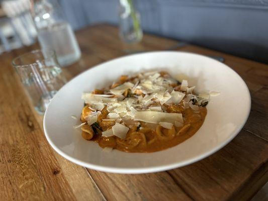 Orecchiette- shrimp in a somewhat spicy sauce- good but wayyyyyy too much sauce