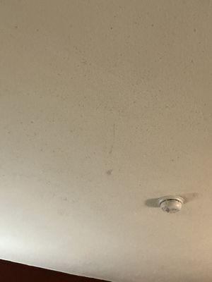 Filthy ceilings with Stab marks