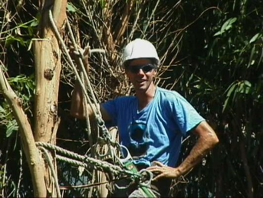 Arbor Works Tree Service