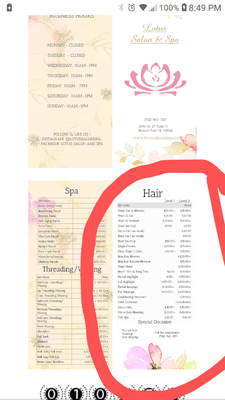 According to this, the hair wash(no dry) is $5 for both level 1 & level 2, whatever that means!