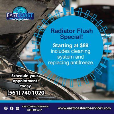 CHECK YOUR CAR RADIATOR TODAY! 561-7401020